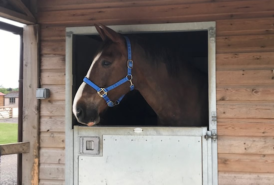 Tinsleys Riding School