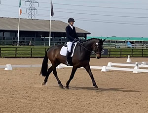 Tinsleys Riding School Clapham Bedfordshire