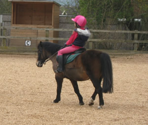Tinsleys Riding School Clapham Bedfordshire