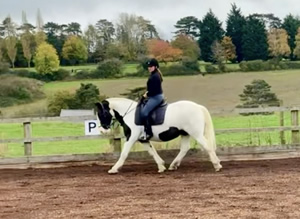 Tinsleys Riding School Clapham Bedfordshire