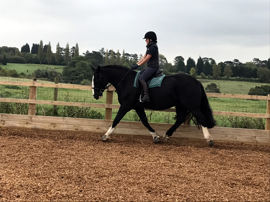 Tinsleys Riding School Clapham Bedfordshire