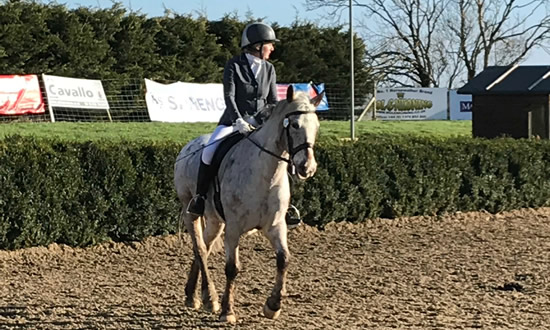 Tinsleys Riding School Clapham Bedfordshire