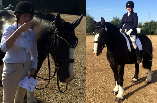 Tinsleys Riding School Clapham Bedfordshire