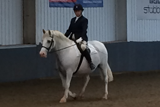 Tinsleys Riding School Clapham Bedfordshire