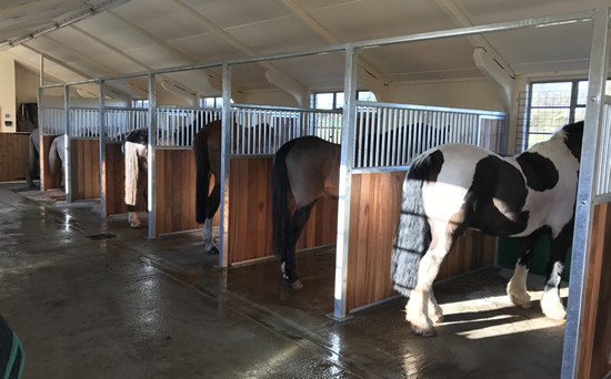 Tinsleys Riding School Clapham Bedfordshire